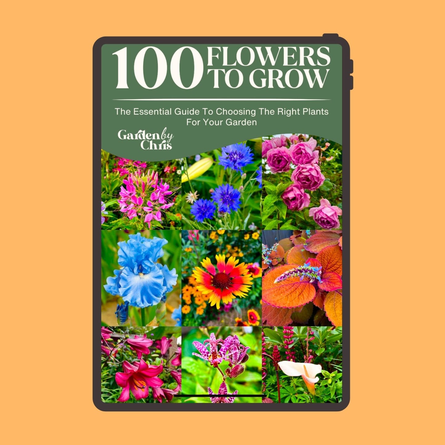 Book cover of '100 Flowers to Grow' with colorful flowers on a green background