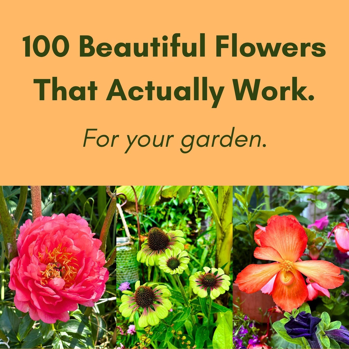 Book cover with flowers and text '100 Beautiful Flowers That Actually Work. For your garden.'