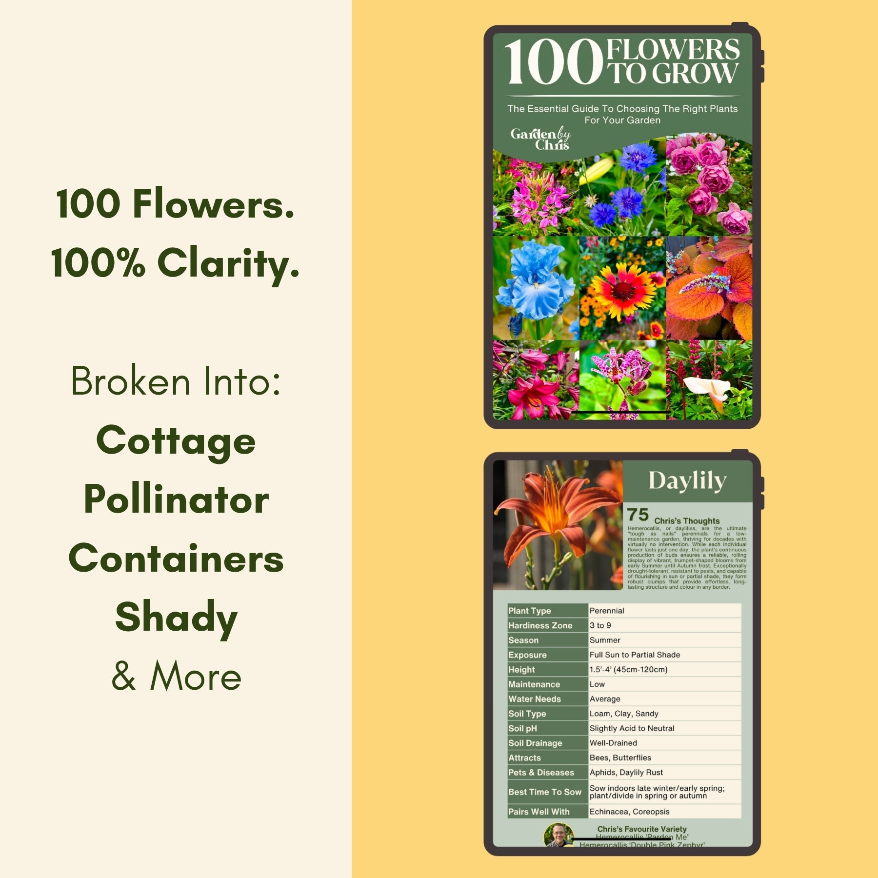 100 Flowers To Grow digital guide with flower photos on a yellow background with flower category text.