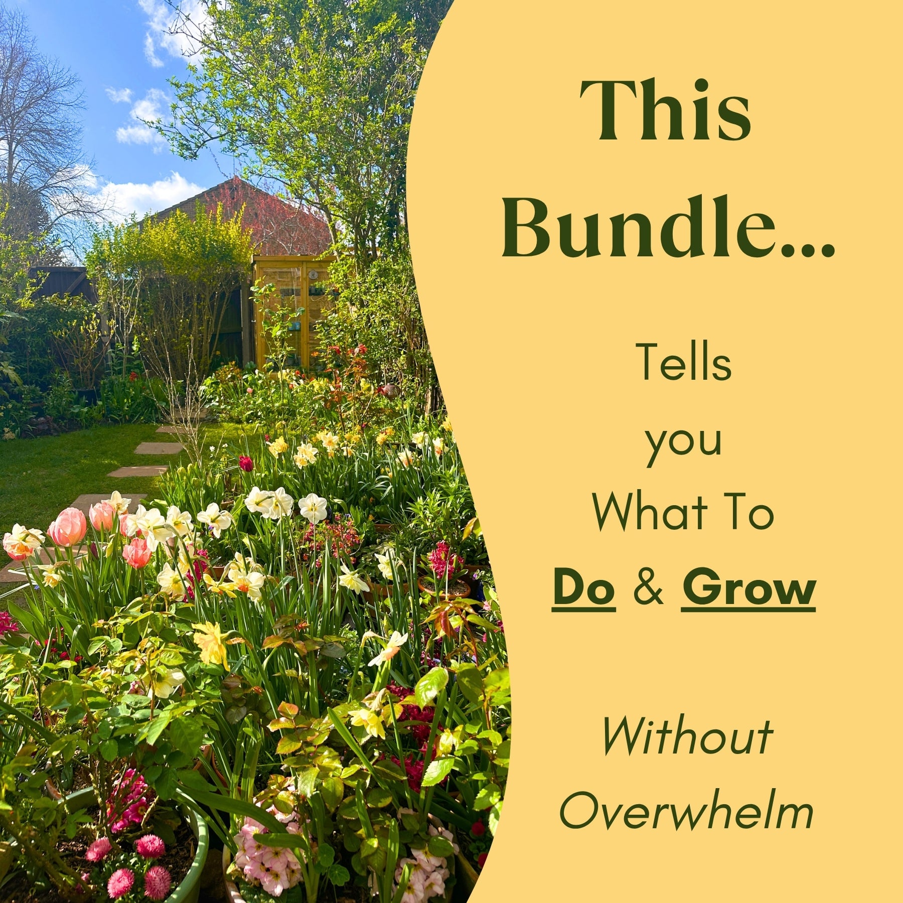 A Spring garden scene with Tulip and Daffodils flowers and a wooden greenhouse, overlaid with text about the Confident Beginner Bundle providing guidance on gardening.