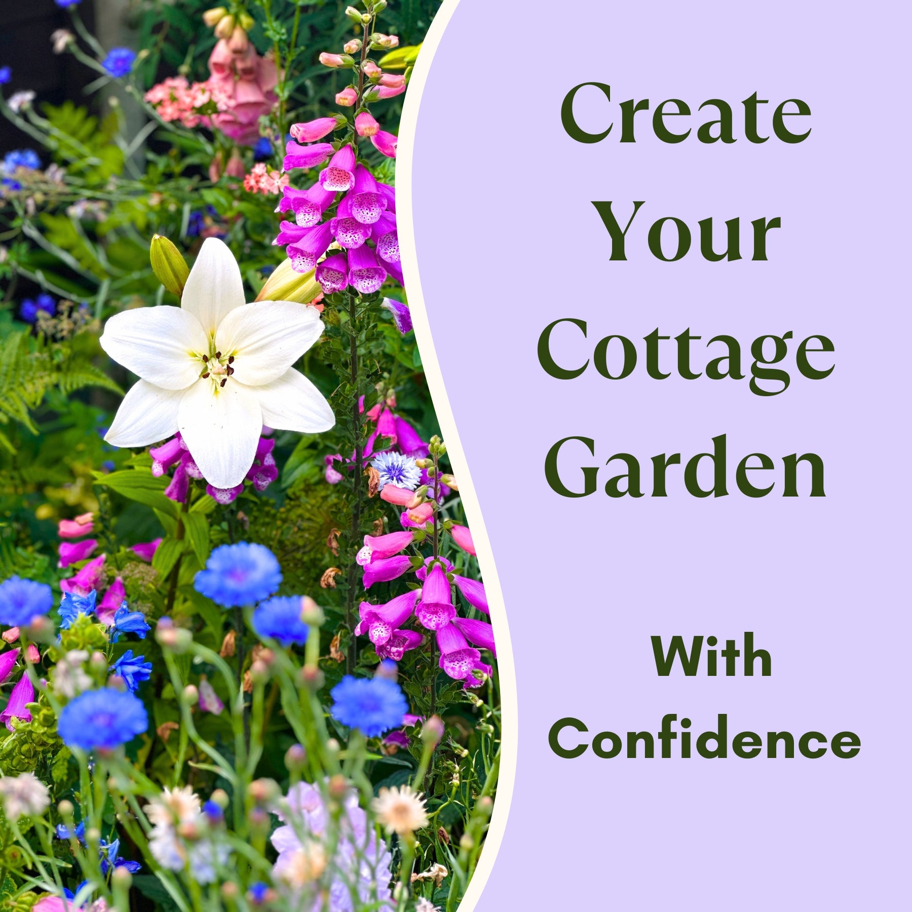 A beautiful floral cottage garden featuring white Lilies, pink Foxgloves, and blue Cornflowers with the text 'Create Your Cottage Garden With Confidence' on a purple background.