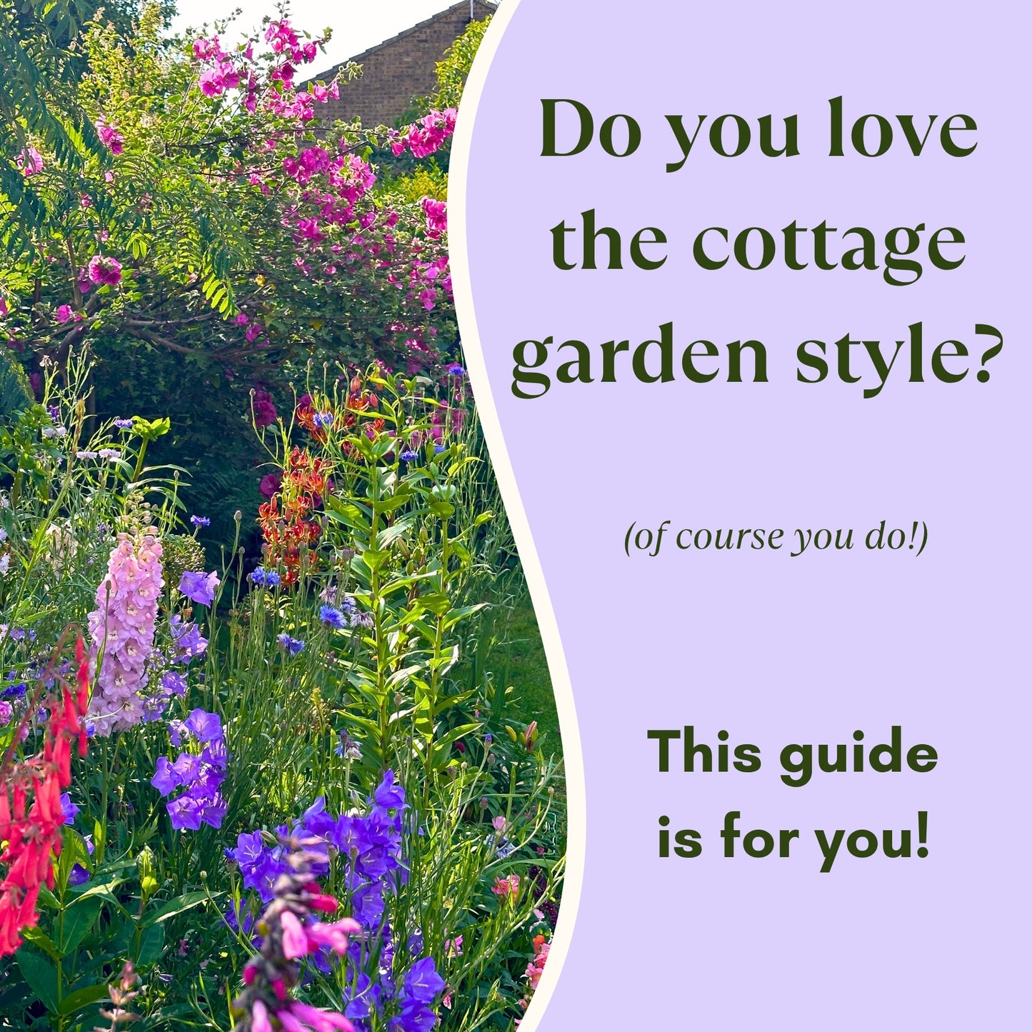 A classic English cottage garden with flowers and text overlay on a purple background.