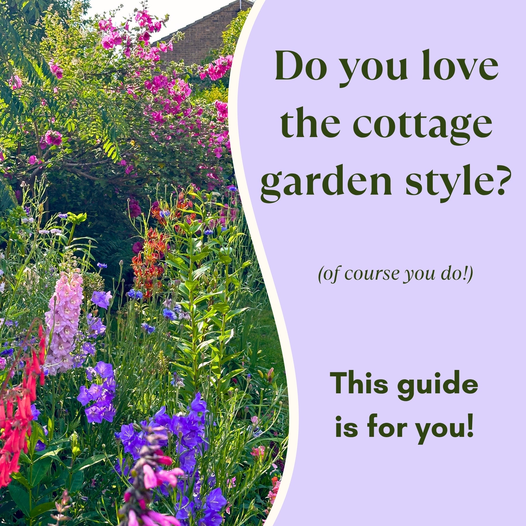 A classic English cottage garden with flowers and text overlay on a purple background.