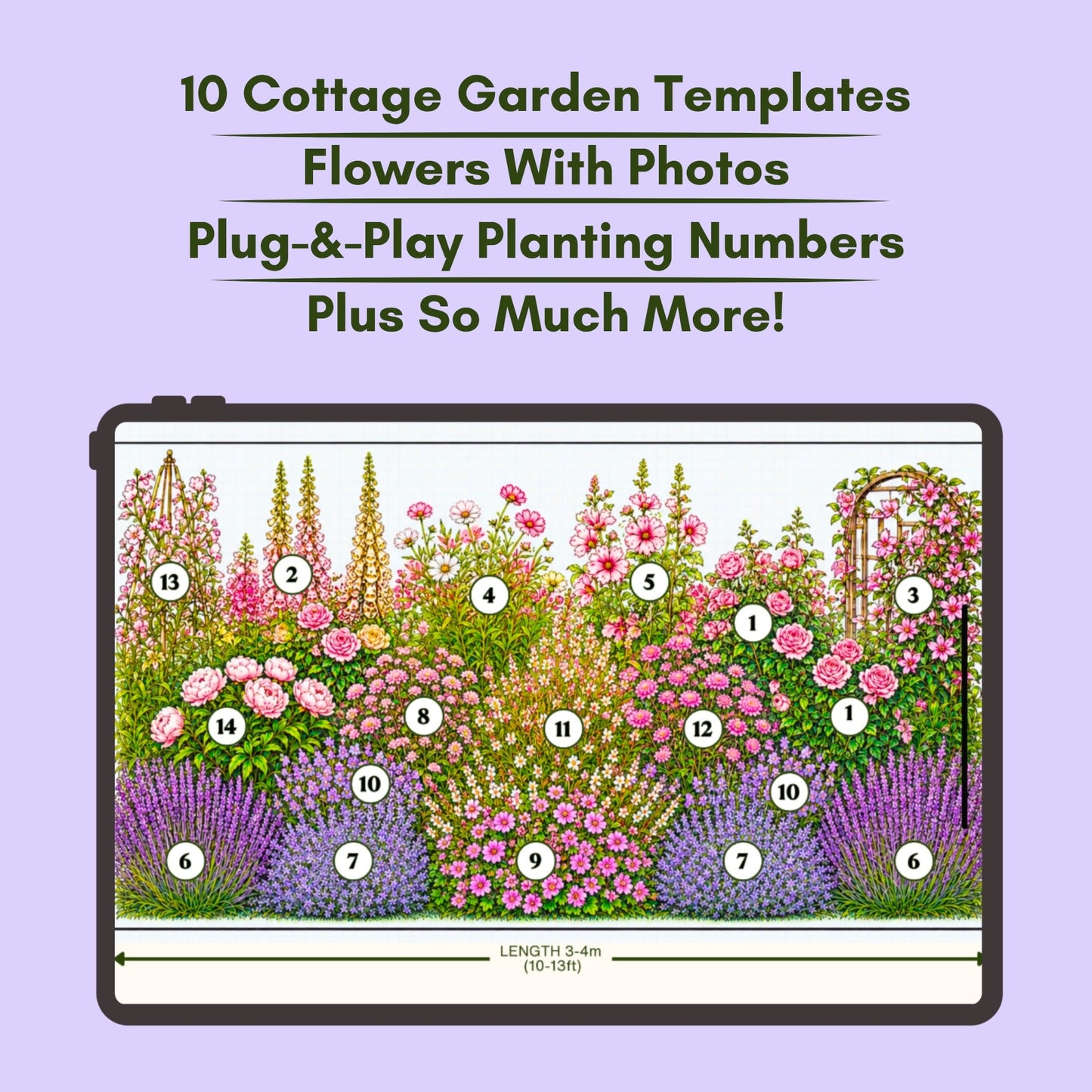 Cottage garden guide, garden layout guidance with numbered plants on a tablet screen, set against a light purple background.