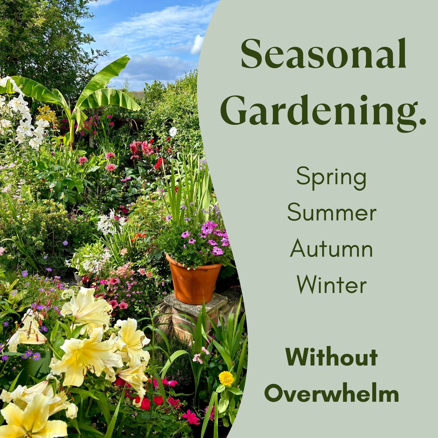 Garden with flowers and text about seasonal gardening