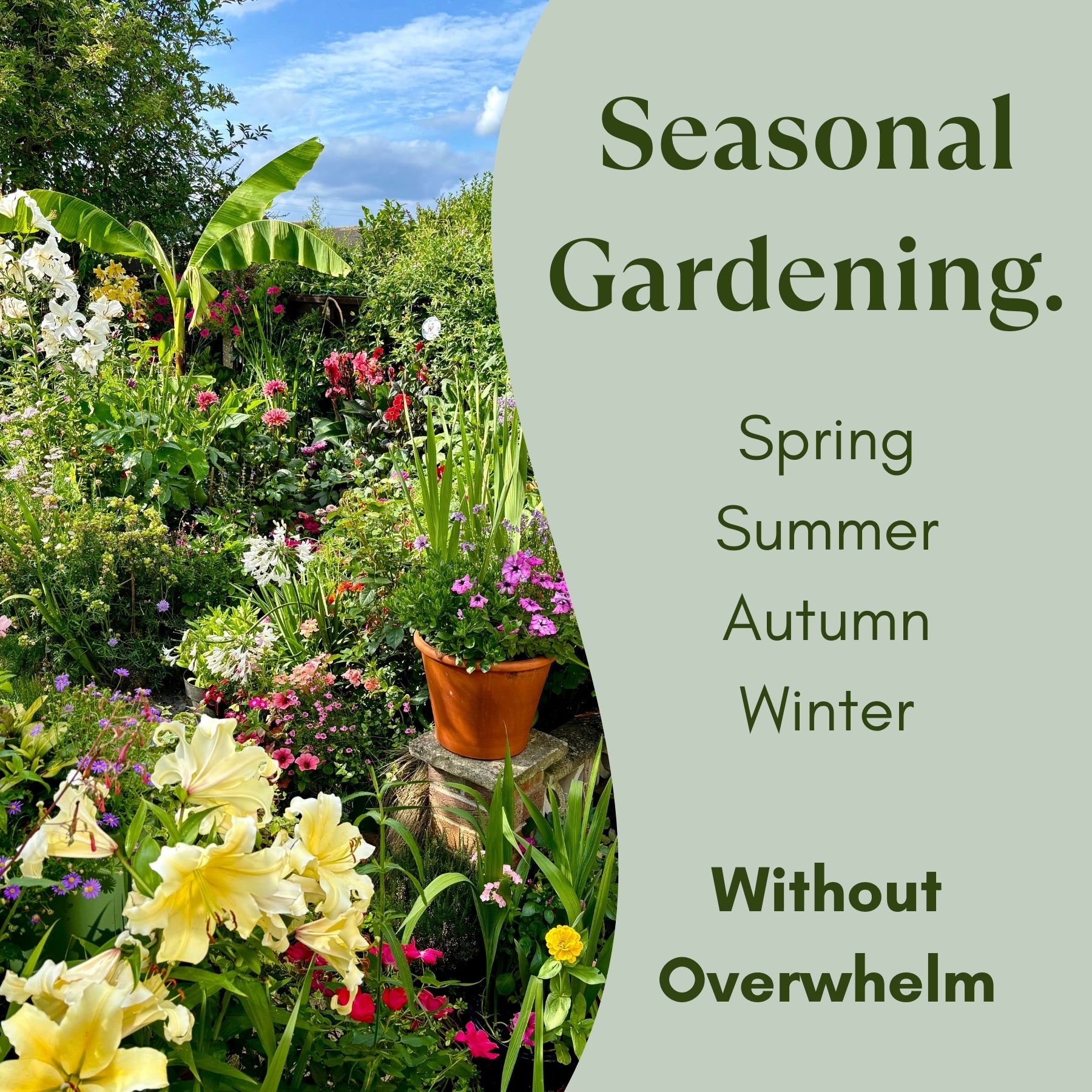 Garden with flowers and text about seasonal gardening